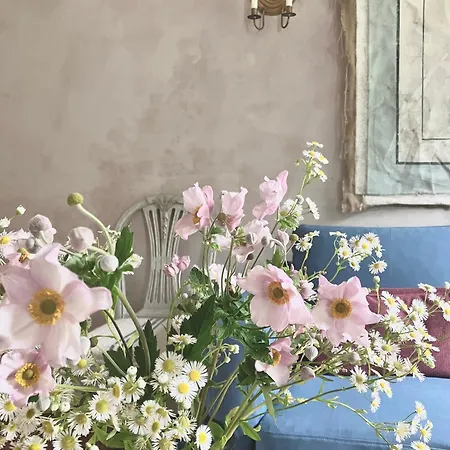 מלון Hohe Buchen