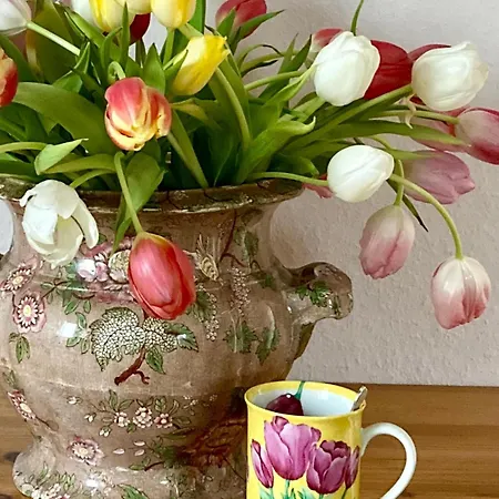 מלון Hohe Buchen