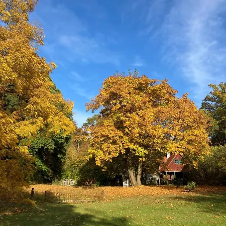 Hohe Buchen מלון